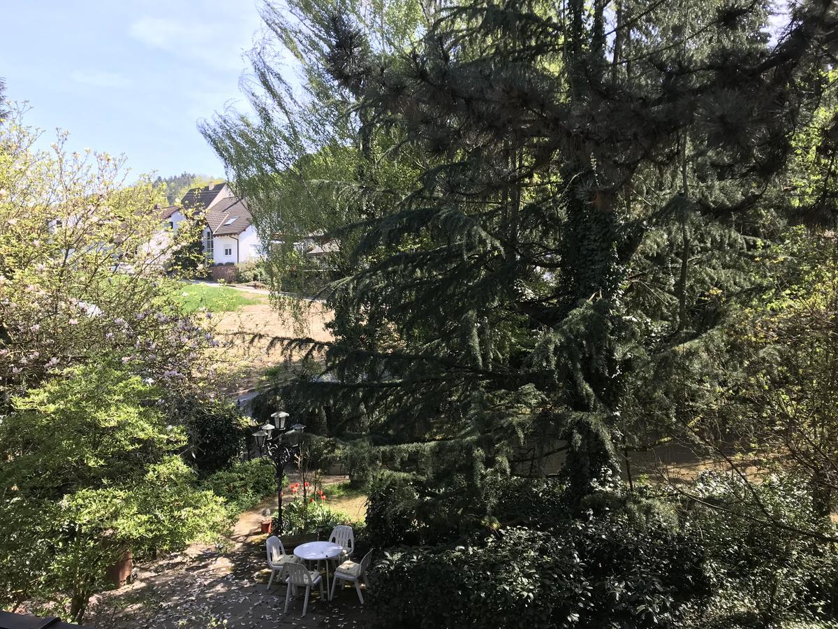 Hotel Roederhof Μπάντεν-Μπάντεν Εξωτερικό φωτογραφία